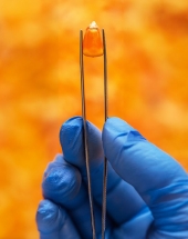 Experimentação Agrícola